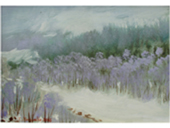 Paesaggio con la neve